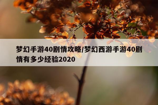 梦幻手游40剧情攻略/梦幻西游手游40剧情有多少经验2020