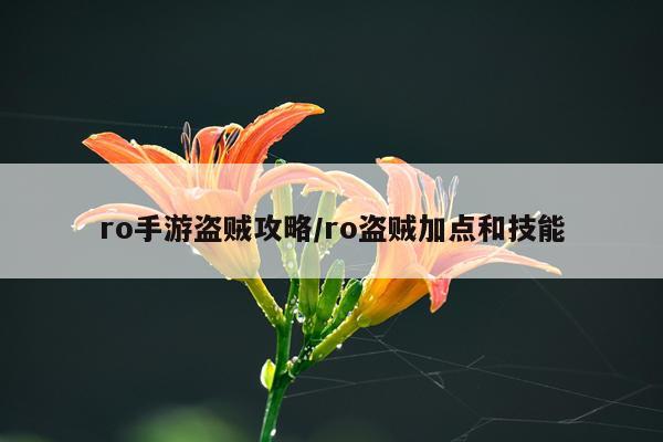 ro手游盗贼攻略/ro盗贼加点和技能