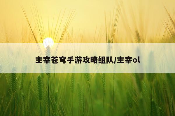 主宰苍穹手游攻略组队/主宰ol
