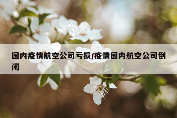 国内疫情航空公司亏损/疫情国内航空公司倒闭