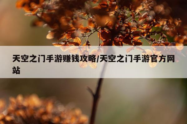 天空之门手游赚钱攻略/天空之门手游官方网站