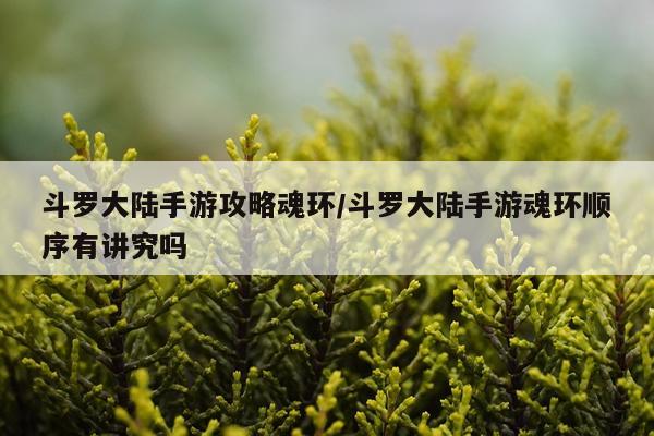 斗罗大陆手游攻略魂环/斗罗大陆手游魂环顺序有讲究吗