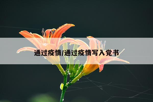 通过疫情/通过疫情写入党书