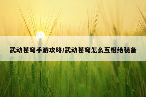 武动苍穹手游攻略/武动苍穹怎么互相给装备