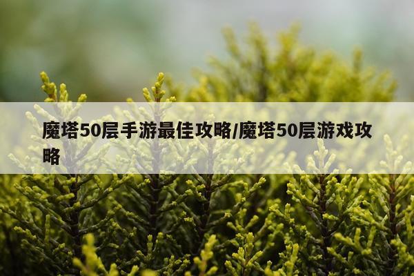 魔塔50层手游最佳攻略/魔塔50层游戏攻略