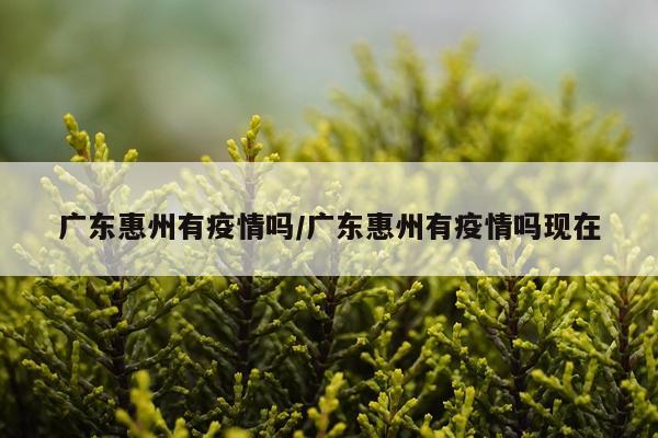 广东惠州有疫情吗/广东惠州有疫情吗现在