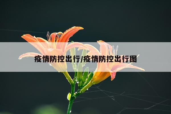 疫情防控出行/疫情防控出行图