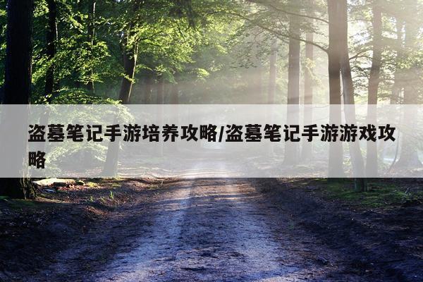 盗墓笔记手游培养攻略/盗墓笔记手游游戏攻略