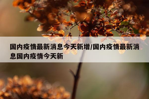 国内疫情最新消息今天新增/国内疫情最新消息国内疫情今天新
