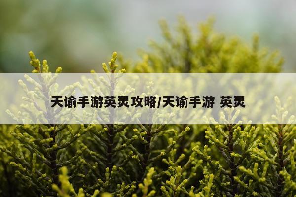 天谕手游英灵攻略/天谕手游 英灵