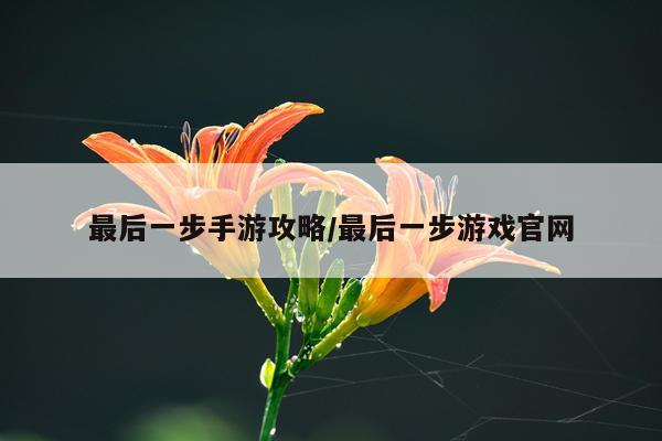 最后一步手游攻略/最后一步游戏官网