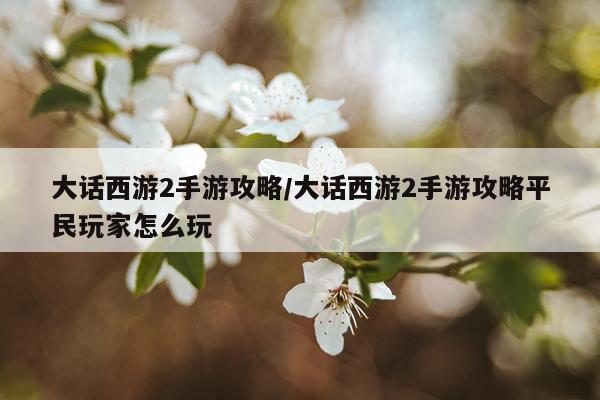 大话西游2手游攻略/大话西游2手游攻略平民玩家怎么玩