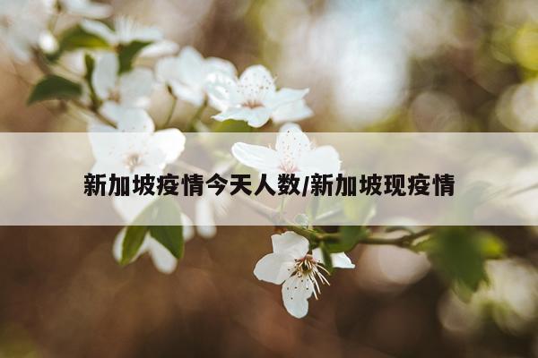 新加坡疫情今天人数/新加坡现疫情