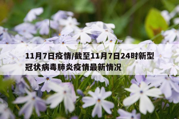 11月7日疫情/截至11月7日24时新型冠状病毒肺炎疫情最新情况
