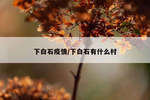 下白石疫情/下白石有什么村