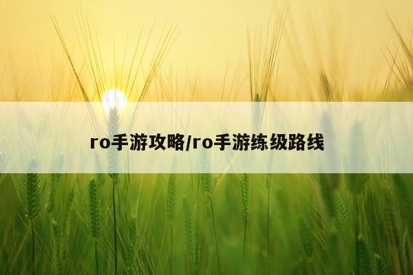 ro手游攻略/ro手游练级路线