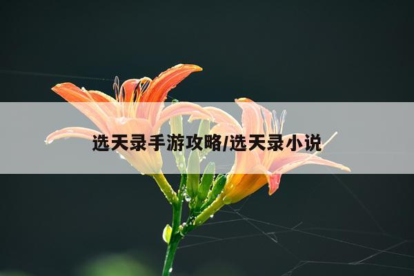 选天录手游攻略/选天录小说