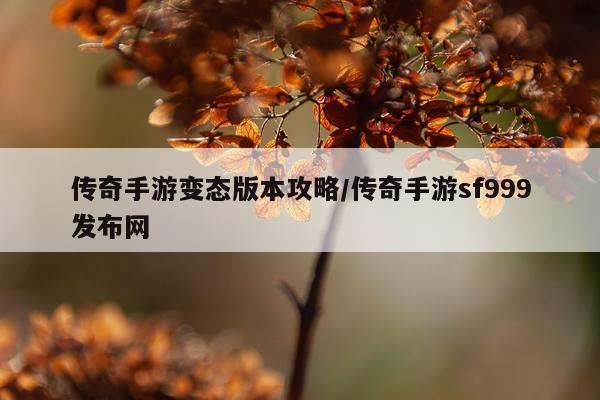传奇手游变态版本攻略/传奇手游sf999发布网