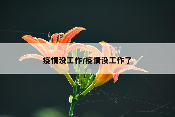 疫情没工作/疫情没工作了