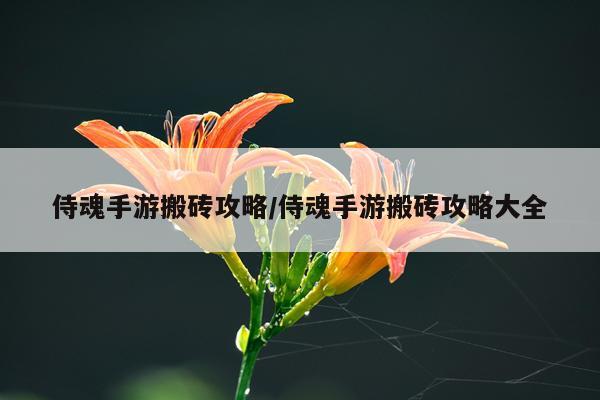 侍魂手游搬砖攻略/侍魂手游搬砖攻略大全