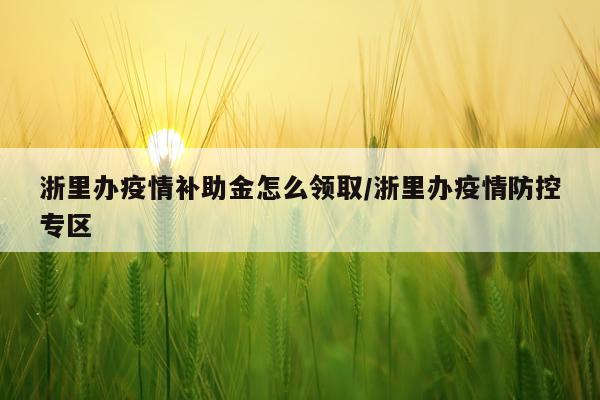 浙里办疫情补助金怎么领取/浙里办疫情防控专区