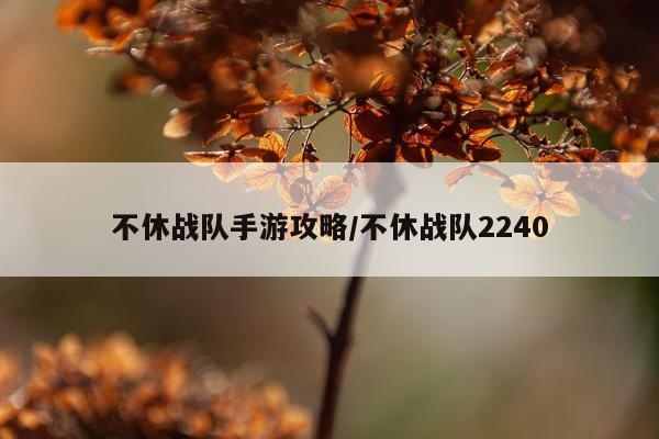 不休战队手游攻略/不休战队2240