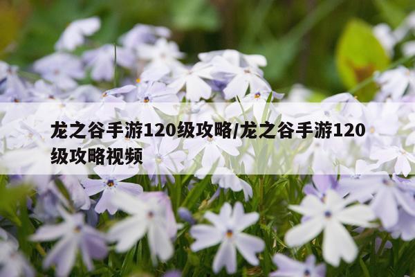 龙之谷手游120级攻略/龙之谷手游120级攻略视频
