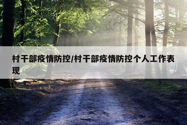 村干部疫情防控/村干部疫情防控个人工作表现