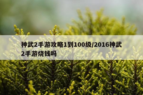 神武2手游攻略1到100级/2016神武2手游烧钱吗