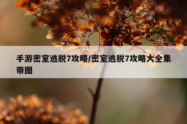 手游密室逃脱7攻略/密室逃脱7攻略大全集带图