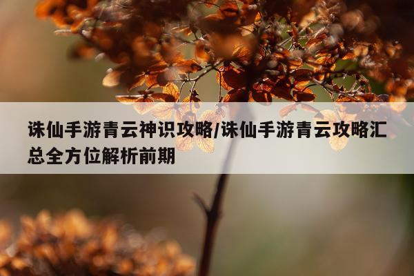 诛仙手游青云神识攻略/诛仙手游青云攻略汇总全方位解析前期