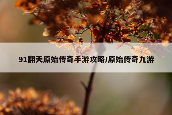 91翻天原始传奇手游攻略/原始传奇九游