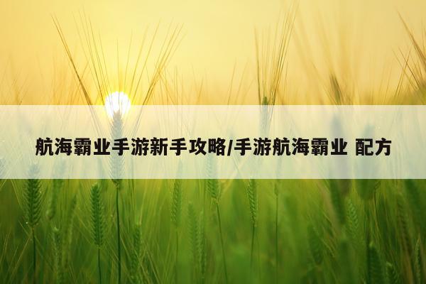 航海霸业手游新手攻略/手游航海霸业 配方