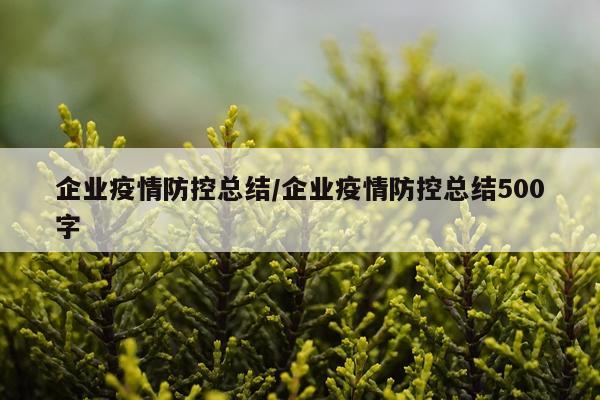 企业疫情防控总结/企业疫情防控总结500字