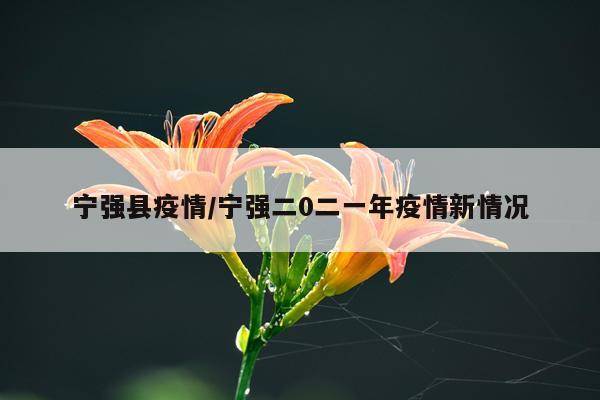 宁强县疫情/宁强二0二一年疫情新情况