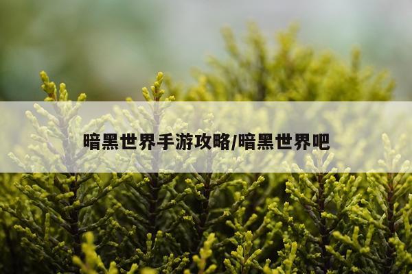 暗黑世界手游攻略/暗黑世界吧