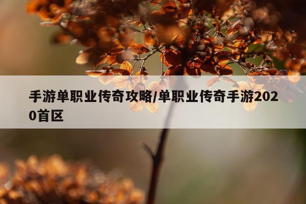 手游单职业传奇攻略/单职业传奇手游2020首区