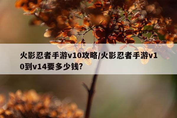 火影忍者手游v10攻略/火影忍者手游v10到v14要多少钱?