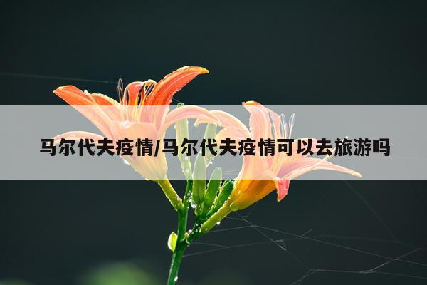 马尔代夫疫情/马尔代夫疫情可以去旅游吗