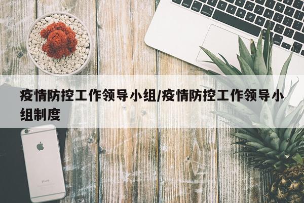疫情防控工作领导小组/疫情防控工作领导小组制度