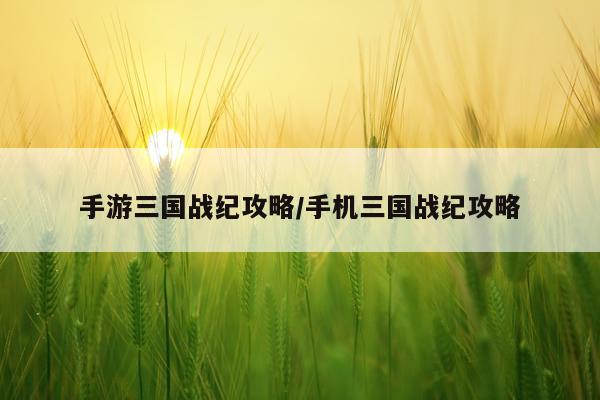 手游三国战纪攻略/手机三国战纪攻略