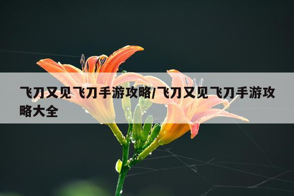 飞刀又见飞刀手游攻略/飞刀又见飞刀手游攻略大全