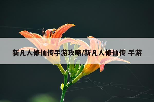 新凡人修仙传手游攻略/新凡人修仙传 手游