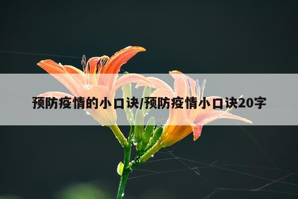 预防疫情的小口诀/预防疫情小口诀20字