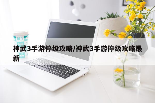 神武3手游停级攻略/神武3手游停级攻略最新