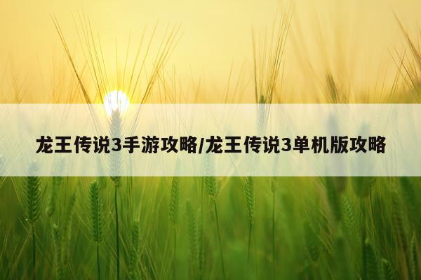 龙王传说3手游攻略/龙王传说3单机版攻略
