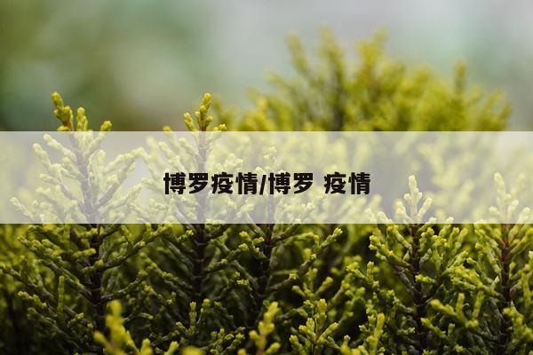 博罗疫情/博罗 疫情
