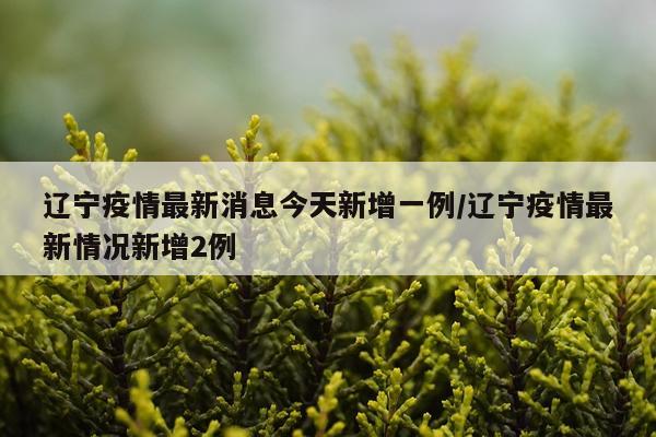 辽宁疫情最新消息今天新增一例/辽宁疫情最新情况新增2例