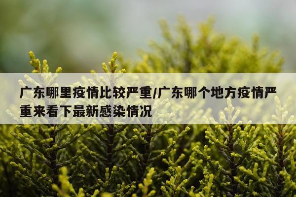 广东哪里疫情比较严重/广东哪个地方疫情严重来看下最新感染情况