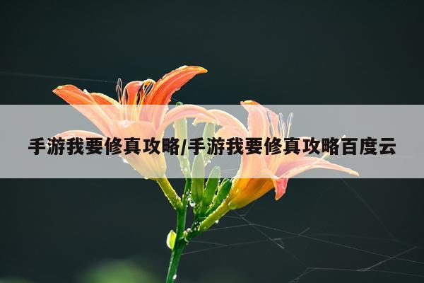 手游我要修真攻略/手游我要修真攻略百度云
